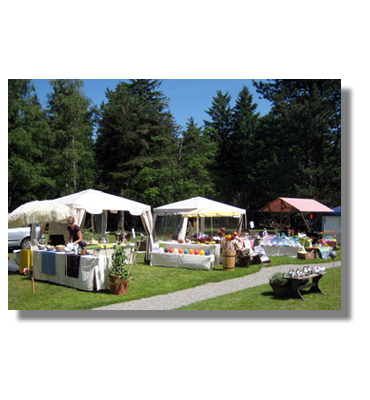 Tiroler Gartentage - Blühende Träume 2009 Blühende Träume 2009